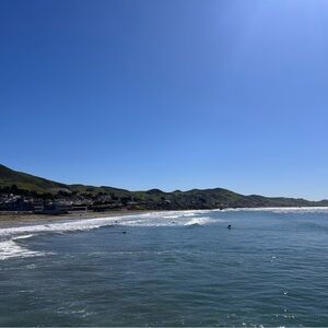 Meet your Posher, Dagmar